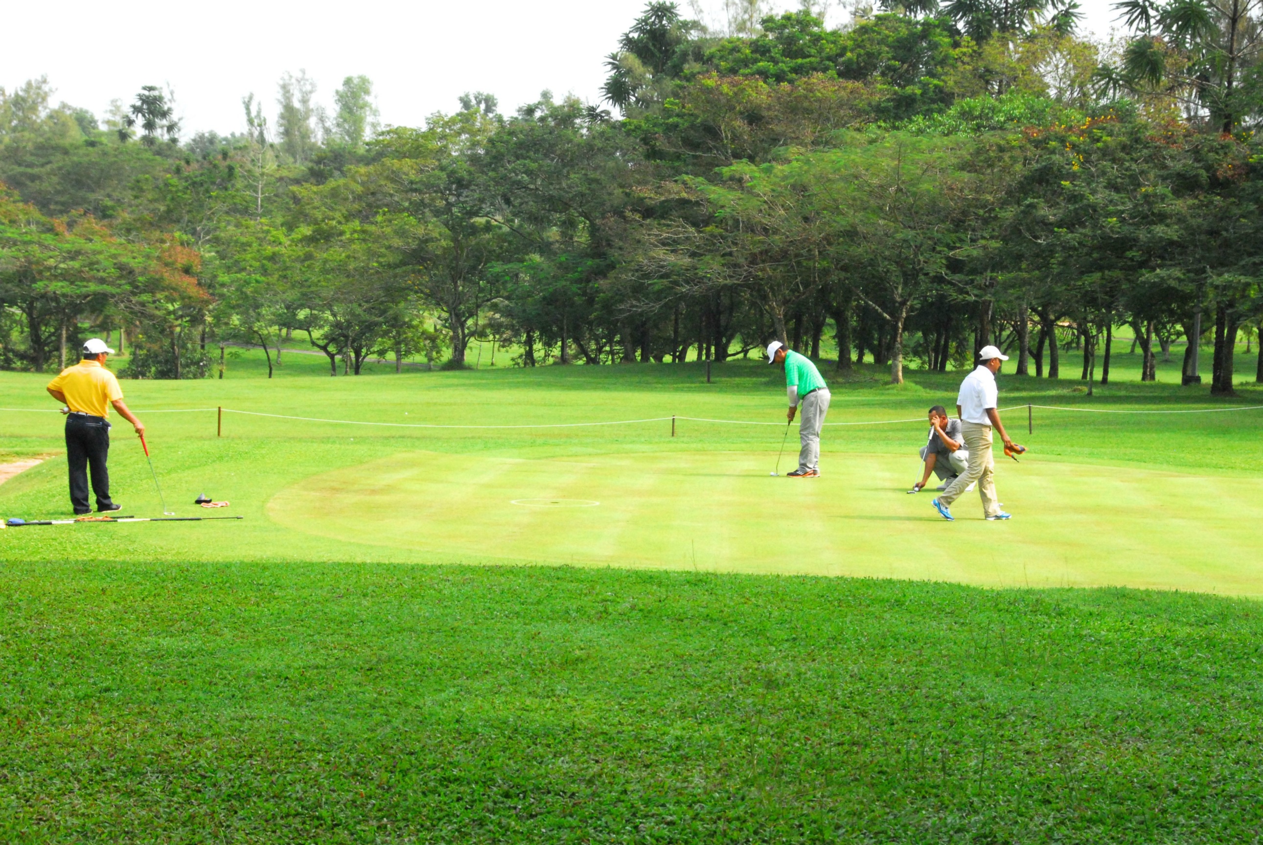 PRO15 157 GOLF DSC 0355.JPG